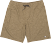 SALTY CREW RESIN SHORT Couleur : Military Heather